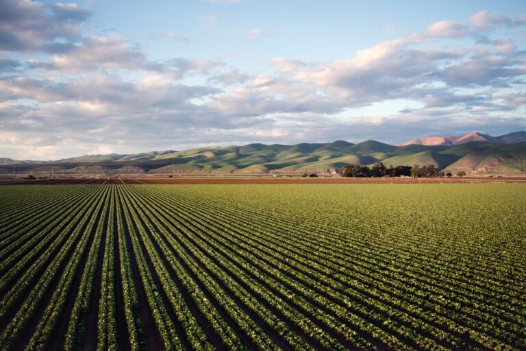 H2O2 Water Hydroxyl MX Field Soil 2