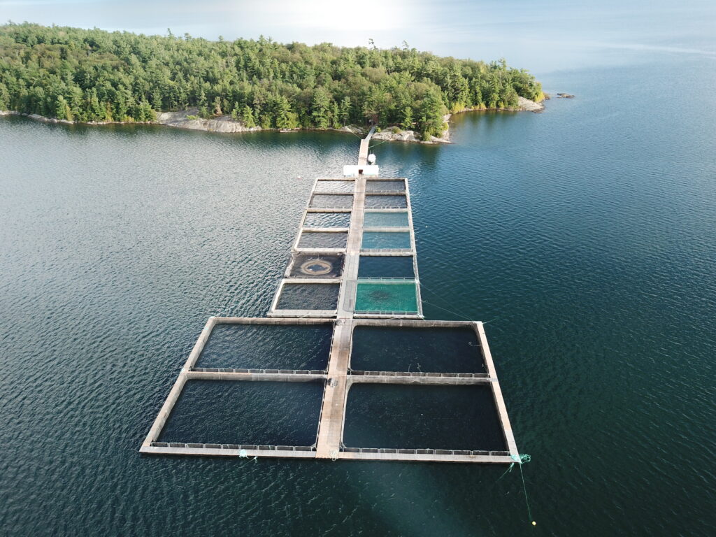 Aquaculture fish farm hydroxyl II h2o2 water 2