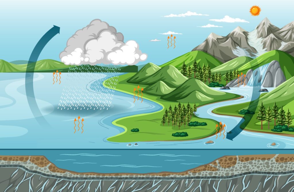 The Natural Water Cycle