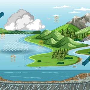 The Natural Water Cycle